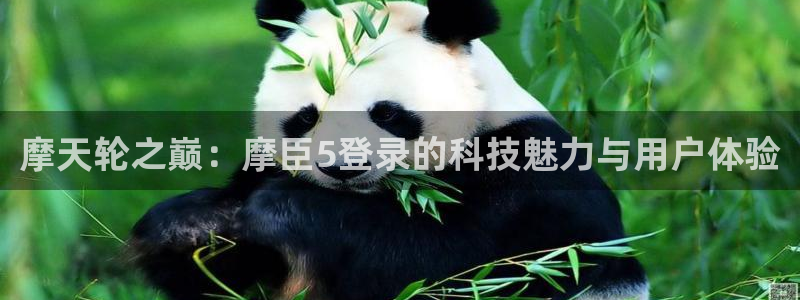 星耀国际电子游戏网页版：摩天轮之巅：摩臣5登录的科技魅力与用户体验