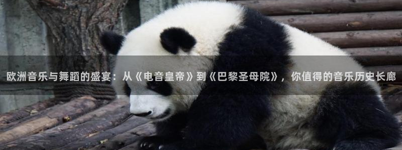 壹号下载官网入口：欧洲音乐与舞蹈的盛宴：从《电音皇帝》到《巴黎圣母院》，你值得的音乐历史长廊