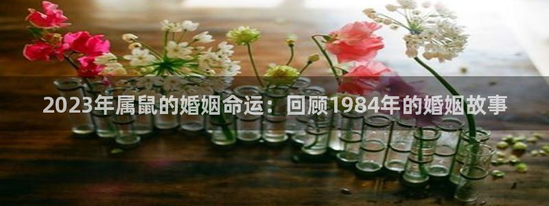 星耀国际平台管网入口：2023年属鼠的婚姻命运：回顾1984年的婚姻故事