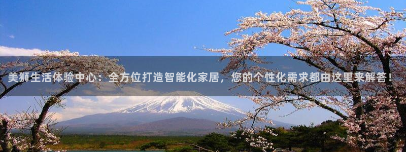 星耀国际com：美狮生活体验中心：全方位打造智能化家居，您的个性化需求都由这里来解答！