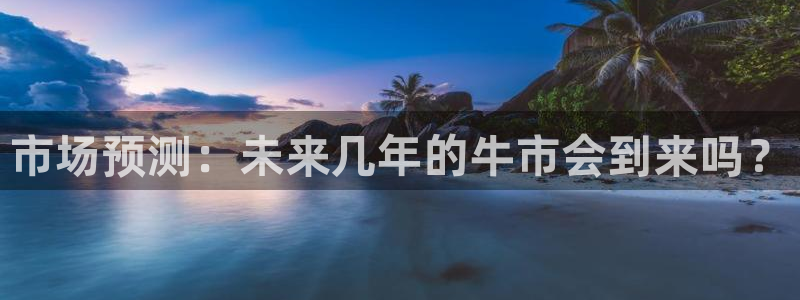 星耀国际是什么：市场预测：未来几年的牛市会到来吗？