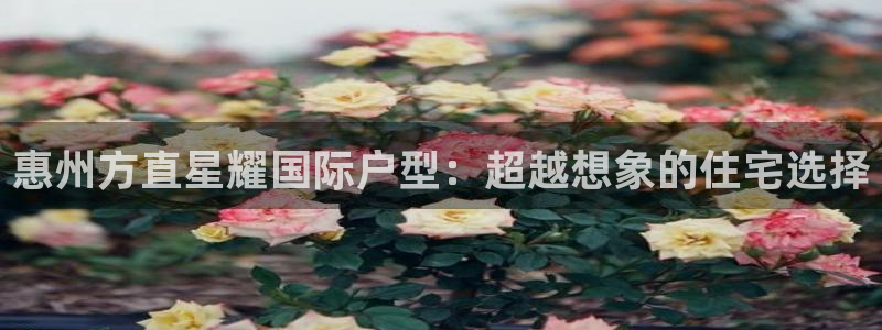星耀国际吧：惠州方直星耀国际户型：超越想象的住宅选择