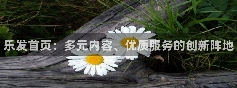 星耀国际下载：乐发首页：多元内容、优质服务的创新阵地