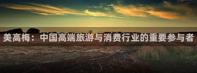 壹号app下载苹果：美高梅：中国高端旅游与消费行业的重要参与者
