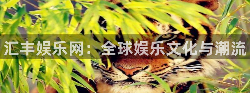 星耀国际.com：汇丰娱乐网：全球娱乐文化与潮流