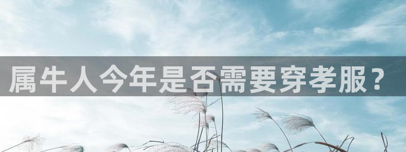 星耀国际平台登录入口：属牛人今年是否需要穿孝服？