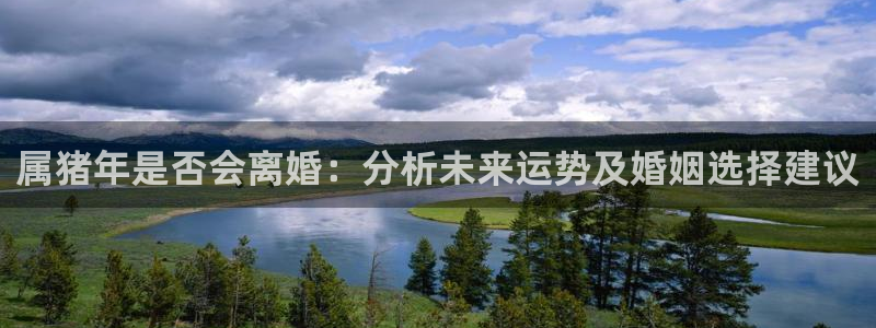 星耀国际加拿大官网：属猪年是否会离婚：分析未来运势及婚姻选择建议