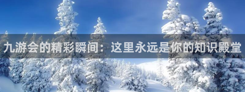 星耀国际平台官网版下载：九游会的精彩瞬间：这里永远是你的知识殿堂