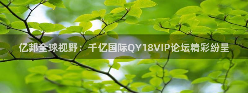 星耀国际手机版下载：亿邦全球视野：千亿国际QY18VIP论坛精彩纷呈
