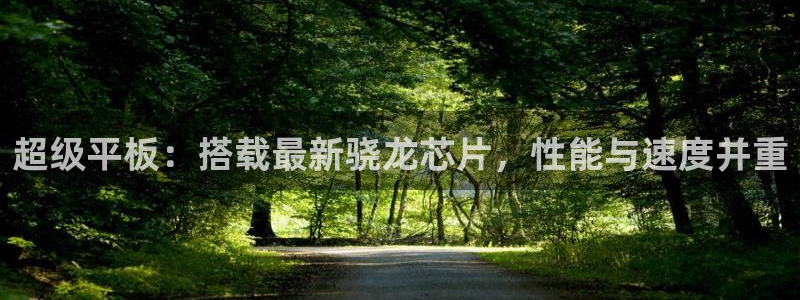 电子游戏星耀国际：超级平板：搭载最新骁龙芯片，性能与速度并重