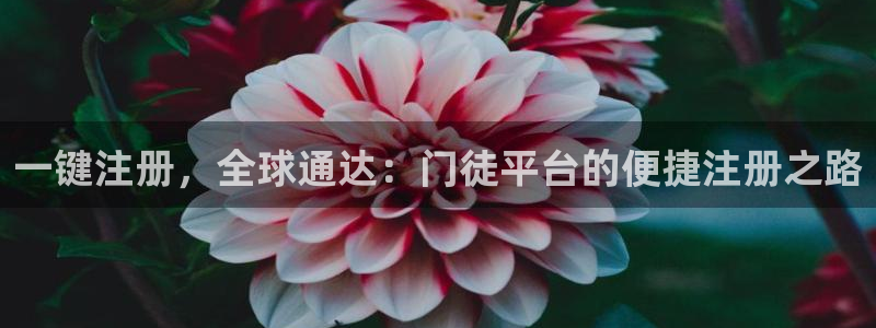 星耀国际app入口：一键注册，全球通达：门徒平台的便捷注册之路