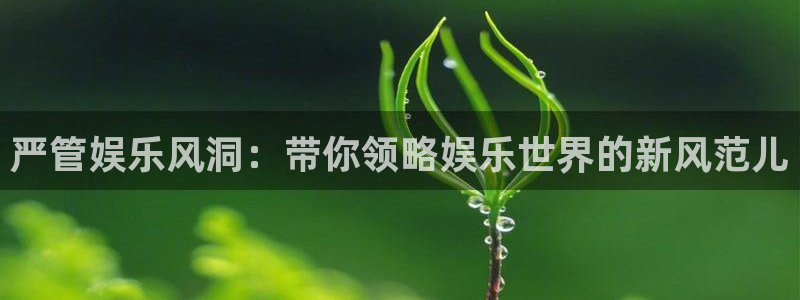 星耀国际官网版下载链接：严管娱乐风洞：带你领略娱乐世界的新风范儿
