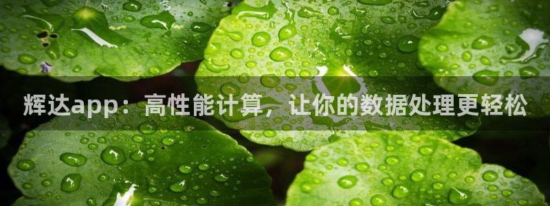 星耀国际.ccmpc登录：辉达app：高性能计算，让你的数据处理更轻松