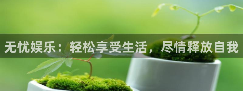 星耀国际退款怎么退：无忧娱乐：轻松享受生活，尽情释放自我