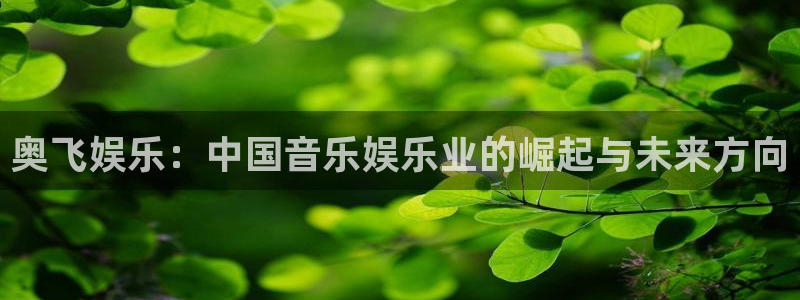 星耀国际.ccm：奥飞娱乐：中国音乐娱乐业的崛起与未来方向