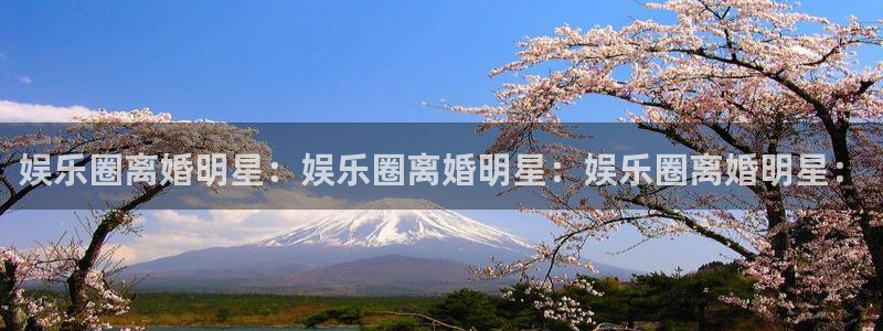 星耀国际,apk.：娱乐圈离婚明星：娱乐圈离婚明星：娱乐圈离婚明星：