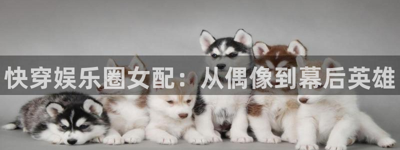 下载星耀国际：快穿娱乐圈女配：从偶像到幕后英雄