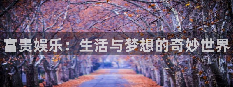 星耀国际手机版下载：富贵娱乐：生活与梦想的奇妙世界