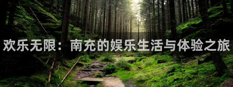 星耀国际注册登录入口：欢乐无限：南充的娱乐生活与体验之旅