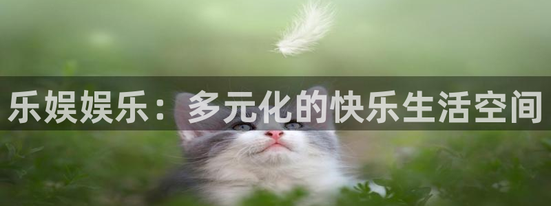 星耀国际账号注册入口：乐娱娱乐：多元化的快乐生活空间