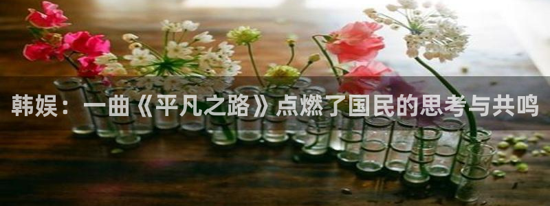 星耀国际网页版登：韩娱：一曲《平凡之路》点燃了国民的思考与共鸣