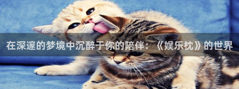 星耀国际强制退款流程详解：在深邃的梦境中沉醉于你的陪伴：《娱乐枕》的世界
