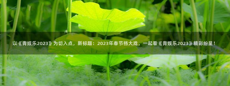 星耀国际下载地址：以《青娱乐2023》为切入点，新标题：2023年春节档大戏，一起看《青娱乐2023》精彩纷呈！