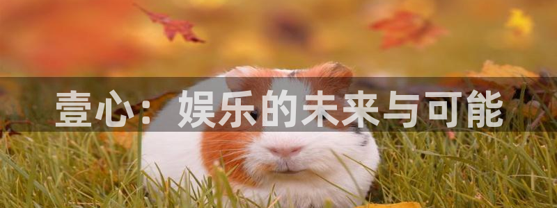 壹号注册入口app下载：壹心：娱乐的未来与可能