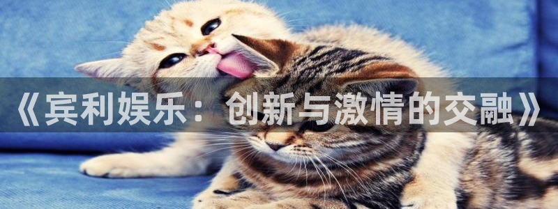 星耀国际app下载安装：《宾利娱乐：创新与激情的交融》