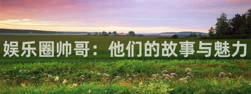 下载星耀国际app：娱乐圈帅哥：他们的故事与魅力