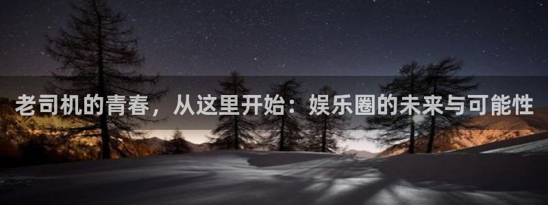 星耀国际加拿大app预测：老司机的青春，从这里开始：娱乐圈的未来与可能性